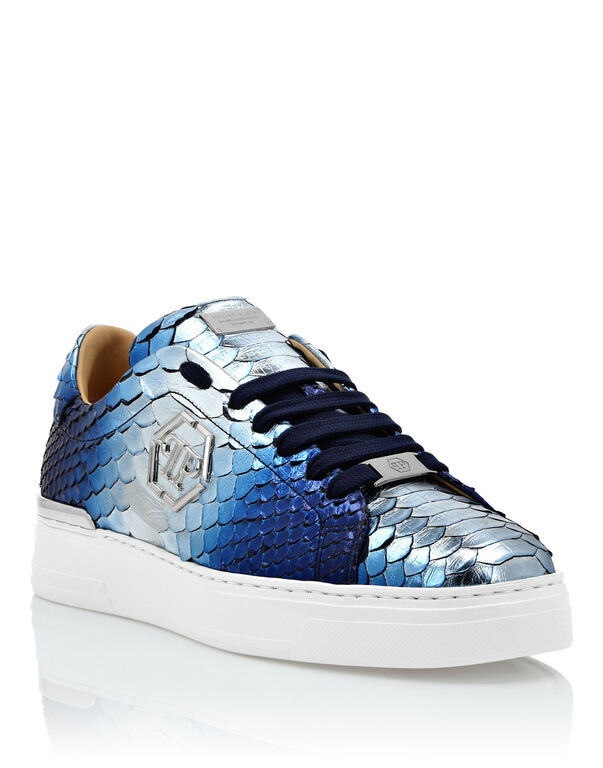 Python Lo-Top Sneakers blu/silver